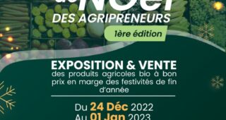 MARCHÉ DE NOEL DES AGRIPRENEURS